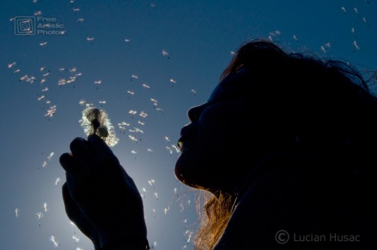 Contre-jour-portrait(1)