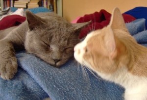 206538_1014984103972_1506164466_30038525_2259185_n