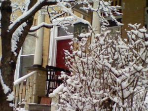 Our front door is obscured by the snow-covered forsythia, but the neighbor's red door makes a nice contrast with all the white.
