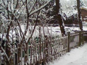A view from our backyard towards our back alley gives a little more contrast against the white of the snow.  This morning as my daughter and I looked out the back door, we spied a neighborhood boy preparing snowballs for a little winter fun with a friend.