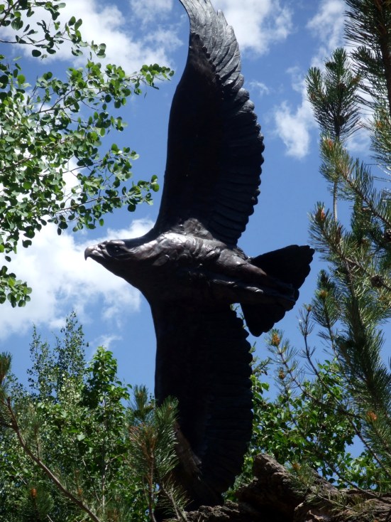 An eagle (I think) in Estes Park, Colorado