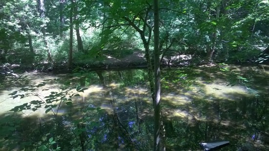 WP_20150725_11_43_37_Pro